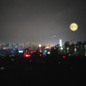 我脱了老师内裤摸她爆尿了
